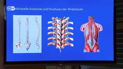 En la práctica: Los asientos no son todos iguales | Al volante