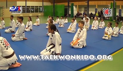 Stage Taekwonkido aux Pays-Bas - janvier 2016