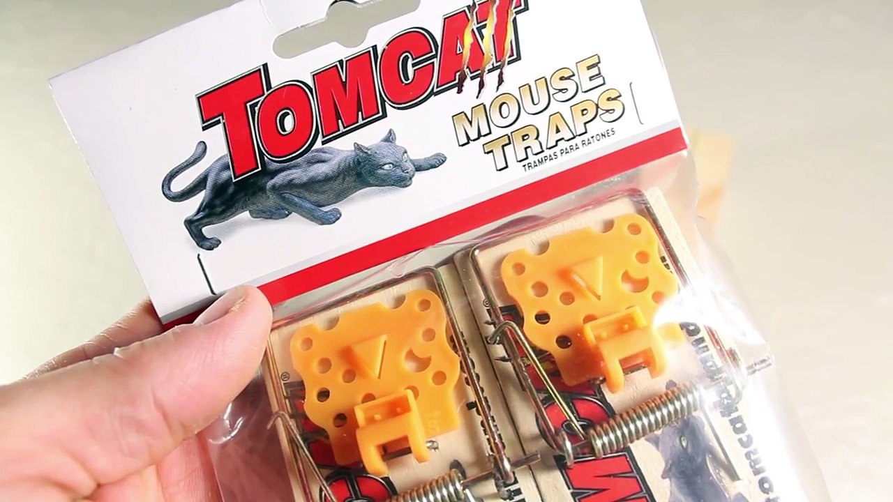 Make a Mousetrap Gun That Shoots!