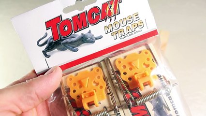 Make a Mousetrap Gun That Shoots!