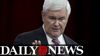 Newt Gingrich Says White People 'Don't Understand Being Black In America'