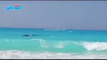 لقطات جديدة ترصد «حوت مارينا» بالقرب من شاطئ الساحل الشمالي