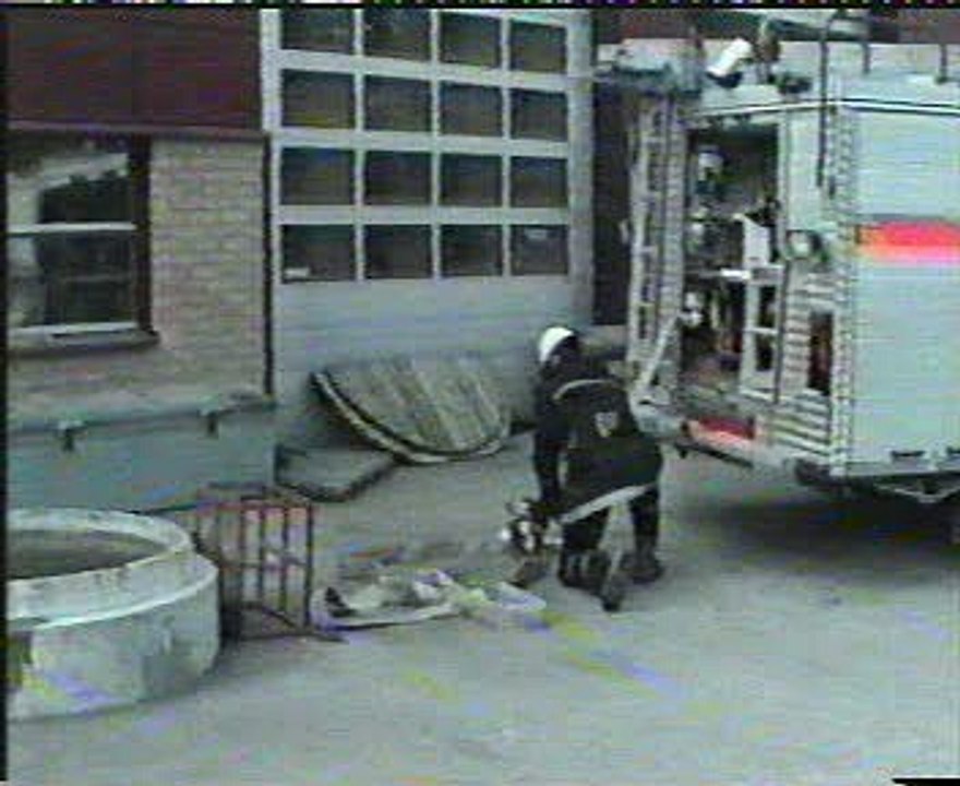 Professional Fireman