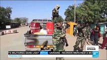 Boko Haram au Cameroun: la présence des Tchadiens appréciée [Fr 24]