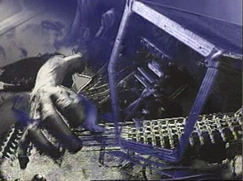 Unleashed - The One Insane