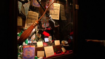 Harry Potter Exhibition comes to Belgium