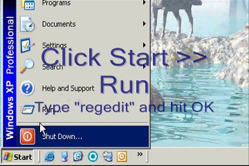 delete and modify any url from your IE address bar