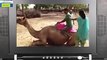 Camel Riding Fails...Very Very Funny Hahahaha...