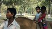 Childrens riding horse in Dhaka Zoo