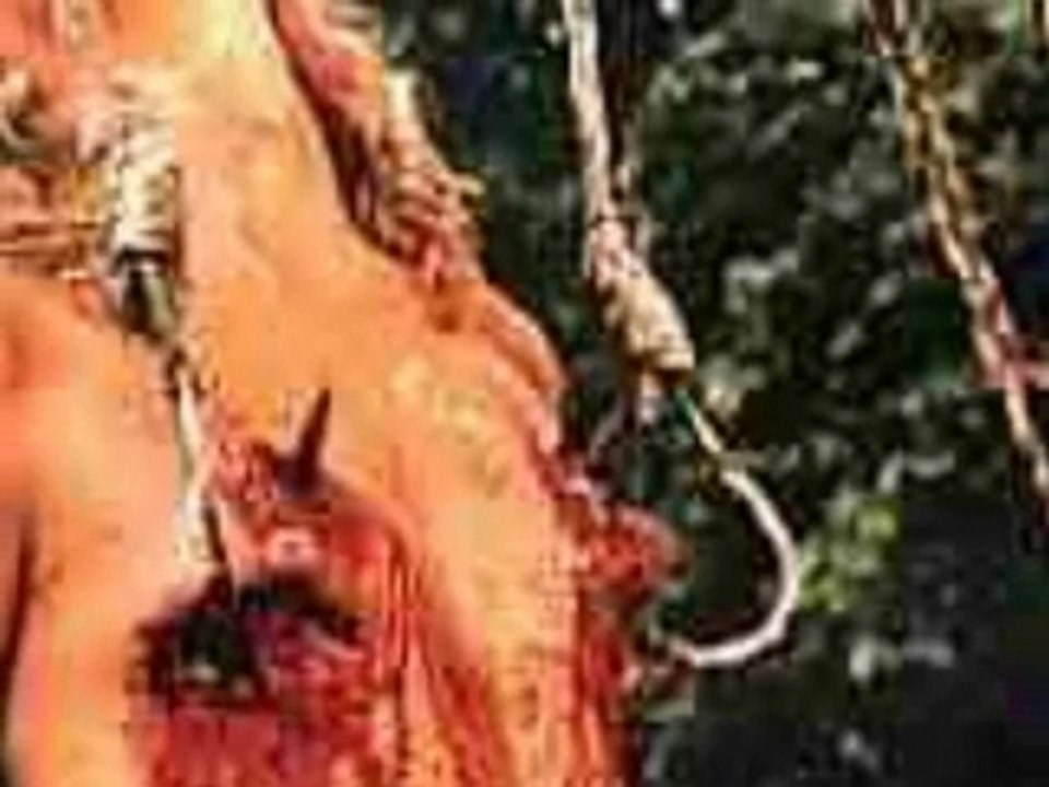 Gore clip
