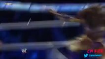 Brie Bella,Naomi, And Natalya vs. Alicia Fox,Aksana and Layla