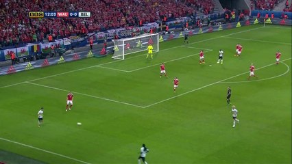 But de Radja Nainggolan - Pays de galles 0-1 Belgique euro 2016 - 2016.07.01