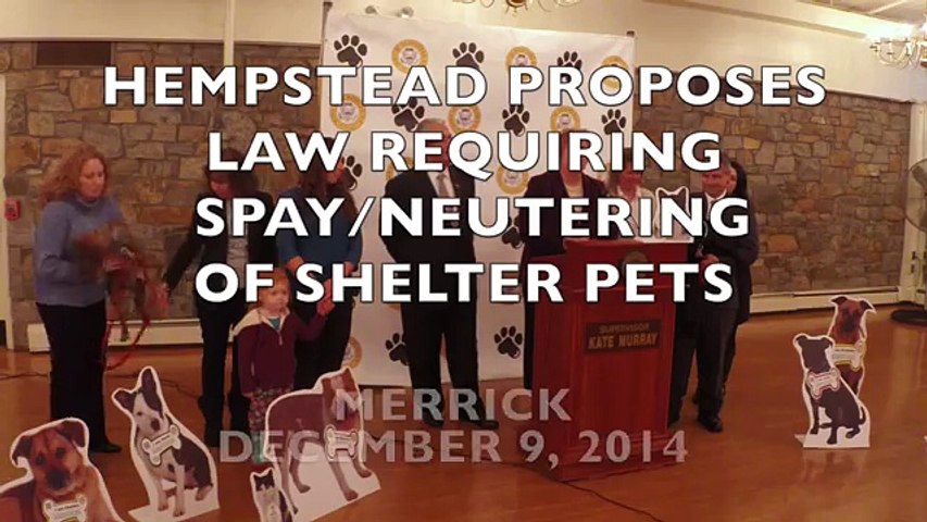 Hempstead Propose Law Requiring Spay-Neutering of Shelter Pets