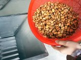Broad bean peeling machine