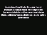 Read Corrosion of Steel Under Mass and Energy Transport in Porous Media: Modeling of Steel