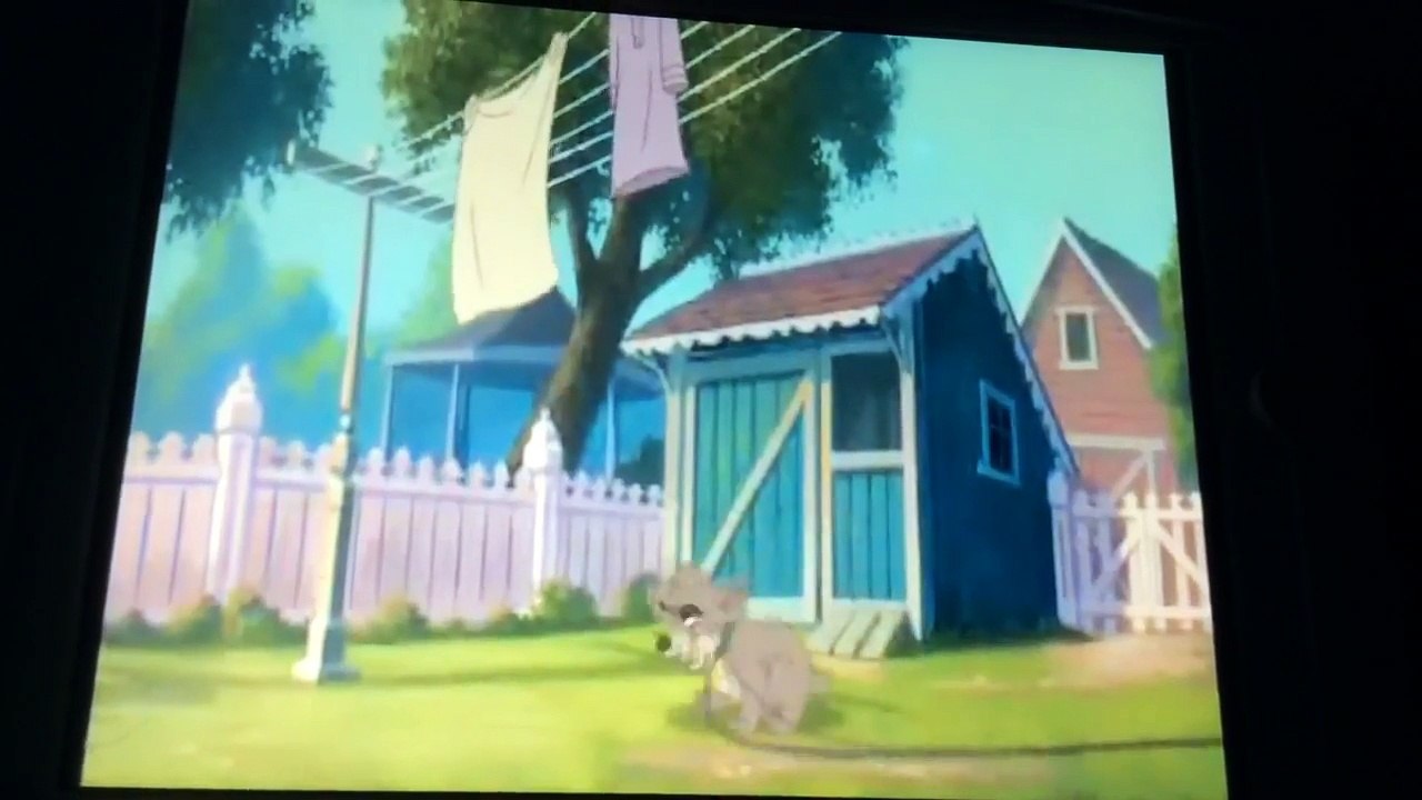 A world without fences (finnish)