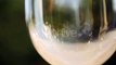 Red Wine Poured Into Glass. - Stock Footage | VideoHive 15507891