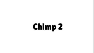 Goanimate Sound Effect: Chimp 2