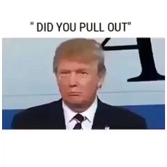 Donald Trump  Social  Mania's Vine -DID YOU PULL OUT