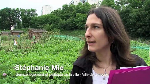 Les plus beaux jardins familiaux récompensés