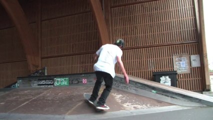 Bestricks n°3 |  Skateboard Skatepark Philippe Marcombes