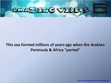 This sea formed millions of years ago when the Arabian Peninsula & Africa parted # Quiz # Question