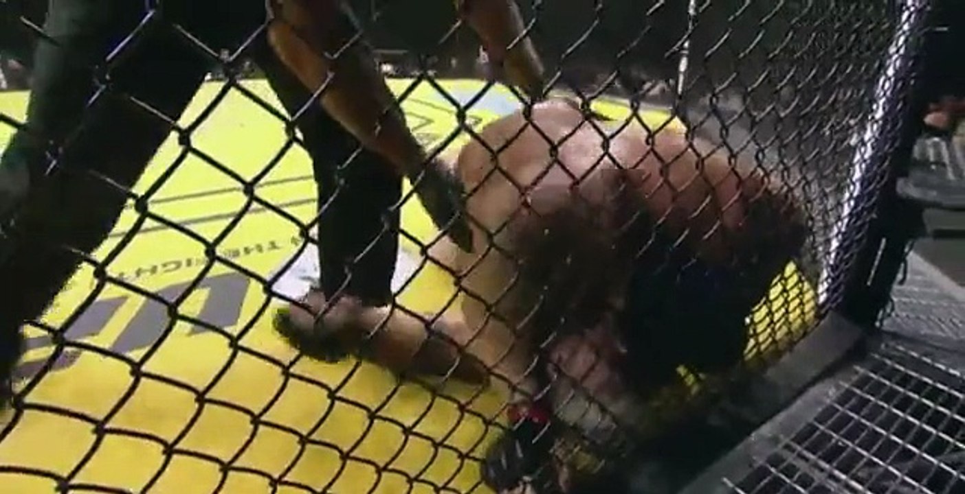 Mark Hunt vs Brock Lesnar FULL FIGHT
