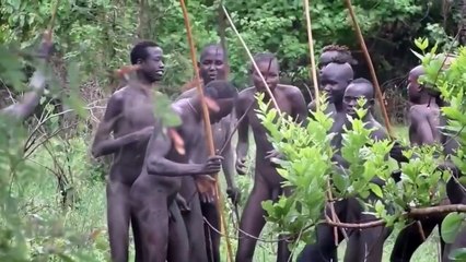 Download Video: African Hamar Tribes life - Rituals of Hamar Tribe at Ethiopia