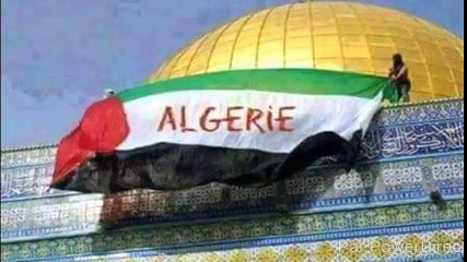 فلسطين الجزائر Palestine Algeria