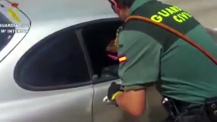 Download Video: Agente salva a un perro de morir asfixiado dentro de un coche