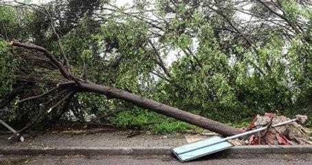 Meteoroloji 5 İli Rüzgar ve Fırtınaya Karşı Uyardı