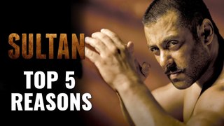 ToP 5 Reasons To Watch Sultan Movie
