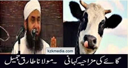 Cow in Mosque Most Funny Story Maulana Tariq Jameel Bayyan 2016