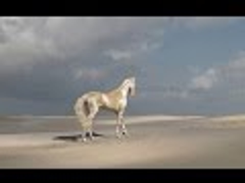 Akhal-Teke the most Beautiful stallion -horse in the World 2016