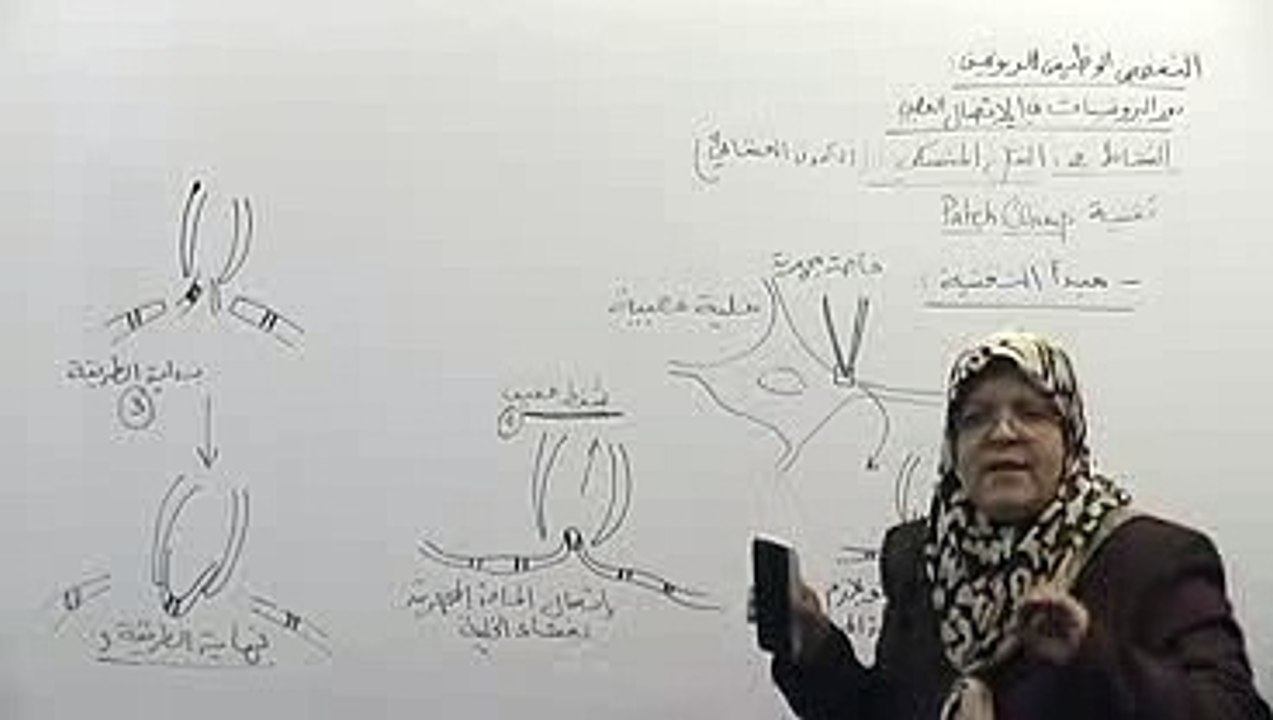 النقل المشبكي الكمون الغشائي