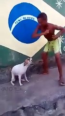 Steps of Dancing Dog