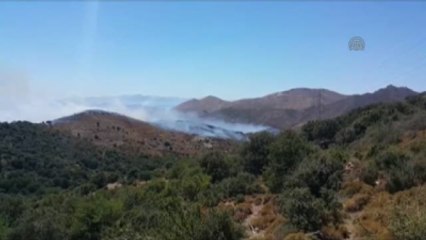 Bodrum'da Makilik Alan Yangını