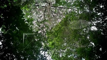 TechKnow - The Politics of Climate Change promo