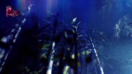 Last chance saloon (191)