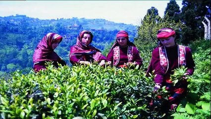 Mukemmel Amator Karadeniz Turkuleri 2016