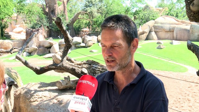 Bioparc se llena de nuevas crías de muchas especies