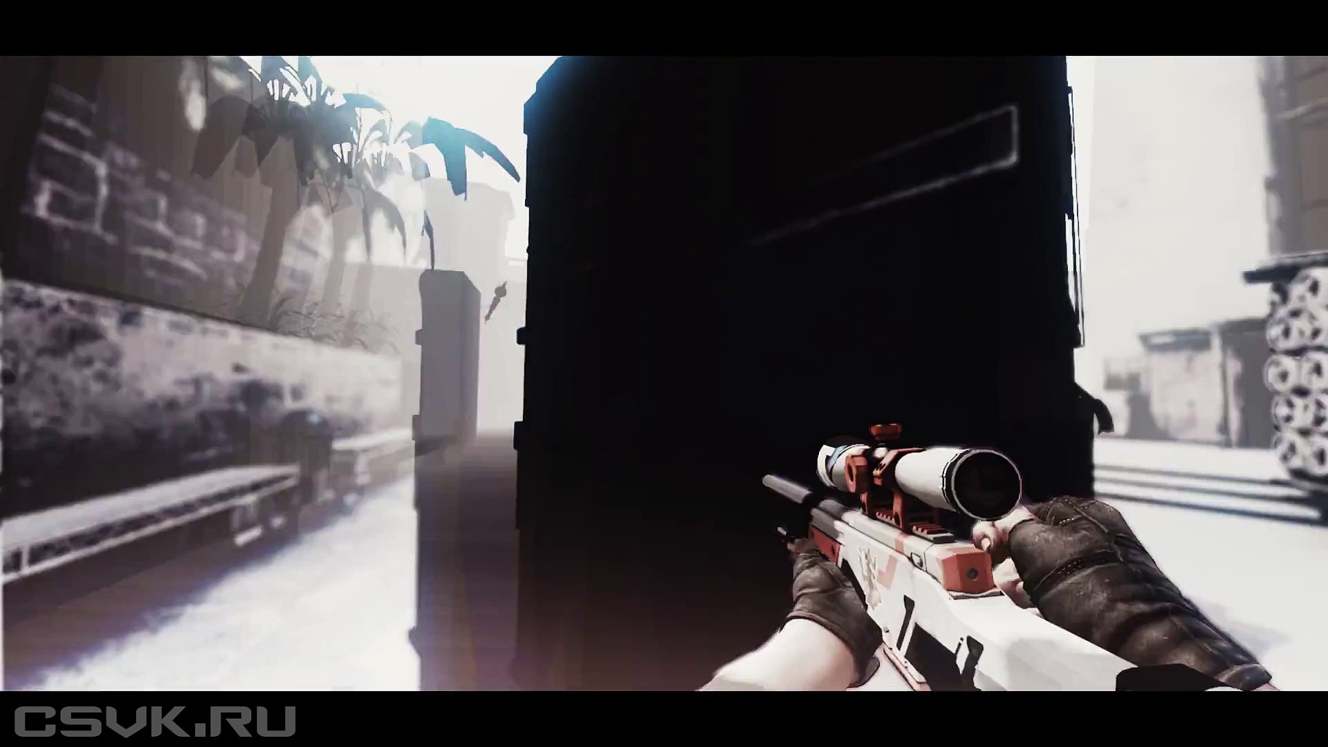 ⁣Visions #CSGO