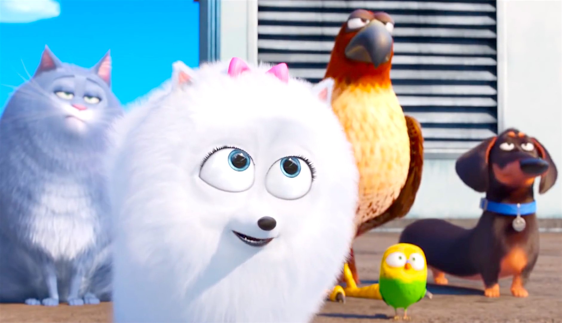 The Secret Life of Pets Official Follow Me Clip