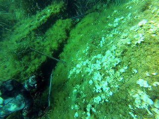 pêche sous marine àsaint tropez