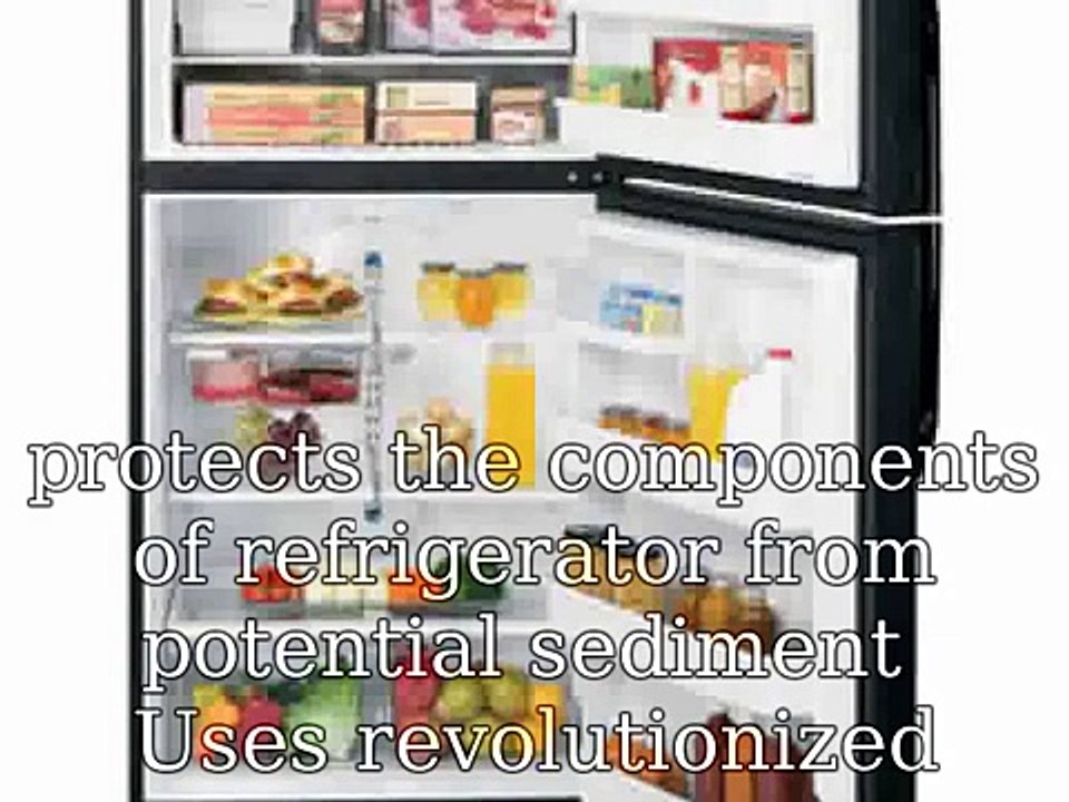 Best Fridge Temperature