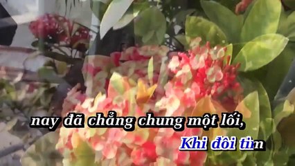 Xin Người Đừng Nói - Sky Nguyen ( Vì sao trong lòng tôi ) Nhạc Hoa Lời Việt