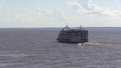 Emprendimiento social: apuesta de los brasileños para ayudar a la Amazonía