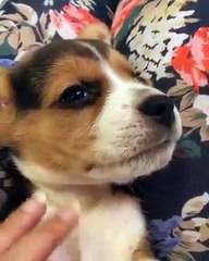 Wait you to tell a story before i fall asleep