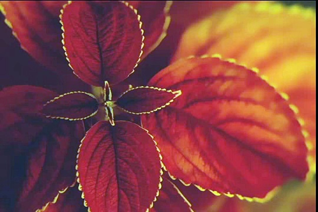 Gunah gar bandhe se bhi allah mohabbat karte hai by zulfiqar ahmad naqshbandi....