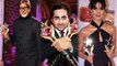 Stardust Awards 2013 | From Vidya to Amitabh | Bollywood stars dazzle at Stardust Awards